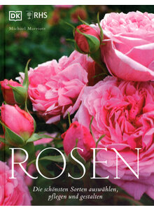 ROSEN - MICHAEL MARRIOTT