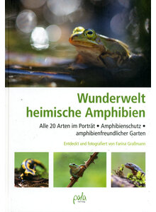 WUNDERWELT HEIMISCHE AMPHIBIEN
