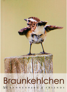 Produktbild fr 'POSTKARTENBUCH BRAUNKEHLCHEN'