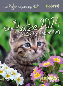 KALENDER EINE KATZE FR JEDEN TAG 2024 -