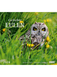 KALENDER GELIEBTE EULEN 2024 -