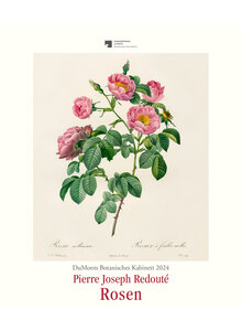 KALENDER ROSEN 2024 - PIERRE JOSEPH REDOUTE