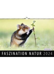 FASZINATION NATUR 2024 HUMANITAS WANDKALENDER