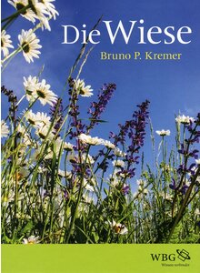 DIE WIESE - BRUNO P. KREMER