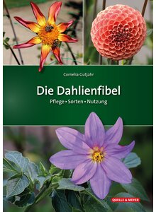 Auf diesem Bild sehen Sie das Produktbild fr DIE DAHLIENFIBEL - CORNELIA GUTJAHR