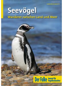 Produktbild fr 'SEEVGEL - FALKE-SONDERHEFT 2023'