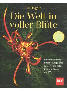 DIE WELT IN VOLLER BLTE - TILL HGELE