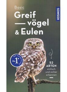 BASIC GREIFVGEL UND EULEN - VOLKER DIERSCHKE - 52 ARTEN EINFACH UND SICHER ERKENNEN