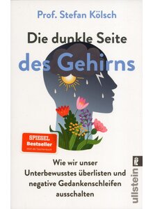 Produktbild fr 'DIE DUNKLE SEITE DES GEHIRNS  STEFAN KLSCH'