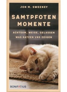 Produktbild fr Produktnummer 6207818