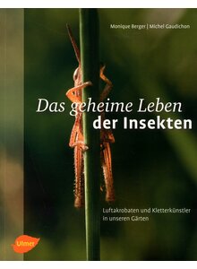 Produktbild fr Produktnummer 6207870