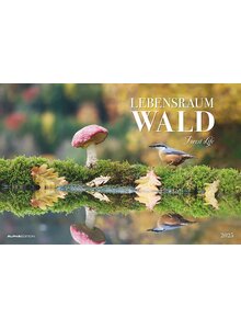 Produktbild fr 'KALENDER LEBENSRAUM WALD 2025 -'