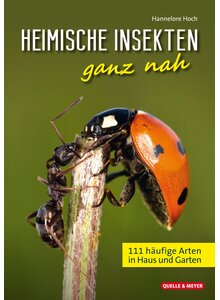 Produktbild fr 'HEIMISCHE INSEKTEN GANZ NAH - HANNELORE HOCH'
