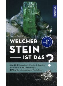 WELCHER STEIN IST DAS? - RUPERT HOCHLEITNER