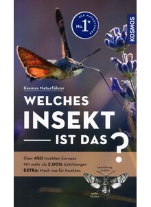 Produktbild fr 'WELCHES INSEKT IST DAS? - HEIKO BELLMANN'