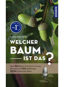 Produktbild fr Produktnummer 6208047