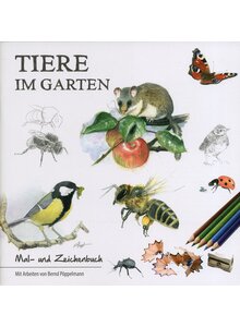Produktbild fr Produktnummer 6208166