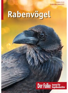 Produktbild fr 'RABENVGEL - DER FALKE SONDERHEFT'