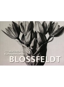 Auf diesem Bild sehen Sie das Produktbild fr KUNSTPOSTKARTEN BLOSSFELDT -