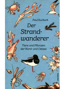 Auf diesem Bild sehen Sie das Produktbild fr DER STRANDWANDERER - PAUL KUCKUCK
