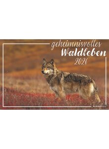Auf diesem Bild sehen Sie das Produktbild fr KALENDER GEHEIMNISVOLLES WALDLEBEN 2026 -