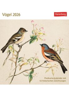 POSTKARTENKALENDER VGEL 2026 -
