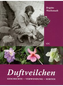 DUFTVEILCHEN - BRIGITTE WACHSMUTH