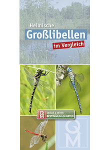 HEIMISCHE GRO�LIBELLEN IM VERGLEICH - QUELLE & MEYER BESTIMMUNGSKARTE