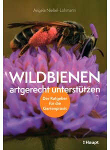 Auf diesem Bild sehen Sie das Produktbild f�r WILDBIENEN ARTGERECHT UNTER- ST�TZEN - A. NIEBEL-LOHMANN