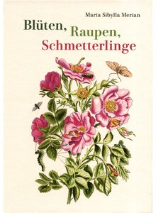 Auf diesem Bild sehen Sie das Produktbild f�r BL�TEN, RAUPEN, SCHMETTERLINGE - MARIA SIBYLLA MERIAN