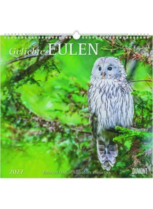 Auf diesem Bild sehen Sie das Produktbild f�r KALENDER GELIEBTE EULEN 2027 -