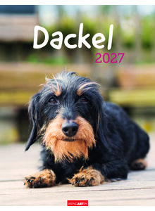 Auf diesem Bild sehen Sie das Produktbild für KALENDER DACKEL 2027 -