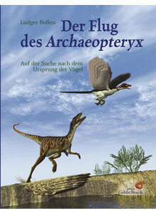BOLLEN, FLUG DES ARCHAEOPTERYX (494-01421)