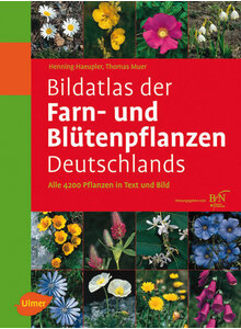 Produktbild fr 'HAEUPLER, BILDATLAS DER FARN- UND BLTENPFLANZEN DEUTSCHLANDS'