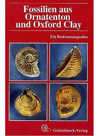 MARTILL, FOSSILIEN AUS ORNATENTON UND OXFORD CLAY (BRAUNES JURA)  (494-01355)