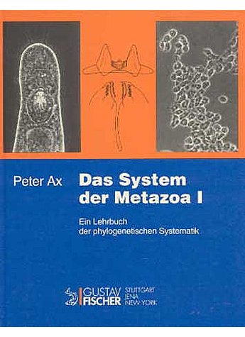 AX, DAS SYSTEM DER I (M)