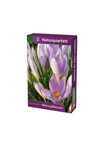 NATURQUARTETT BLTENPFLANZEN