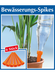 BEWSSERUNGS-SPIKES  6ER-SET