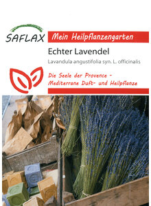 ECHTER LAVENDEL SAMEN