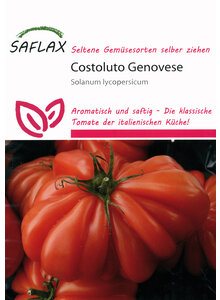 COSTOLUTO GENOVESE TOMATEN SAMEN
