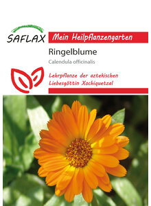 RINGELBLUME PFLANZENSAMEN