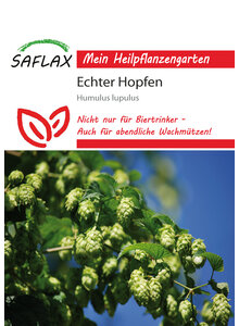 Echter Hopfen Samen Pflanzen Garten Haushalt Garten