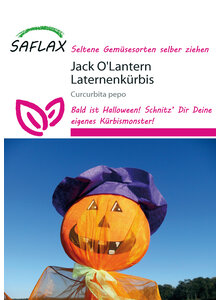 JACK O'LANTERN LATERNENKRBIS PFLANZENSAMEN