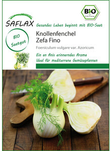 KNOLLENFENCHEL ZEFA FINO