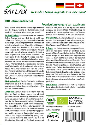 KNOLLENFENCHEL ZEFA FINO Bild 2