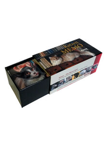 Produktbild fr 'KATZEN MEMO'
