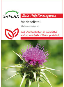 Auf diesem Bild sehen Sie das Produktbild fr SAMEN MARIENDISTEL
