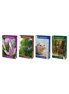 Produktbild fr Produktnummer 7775533