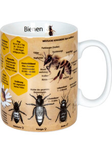 WISSENSBECHER BIENEN