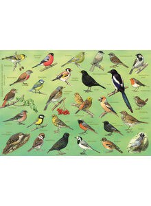 TISCHSET GARTENVGEL